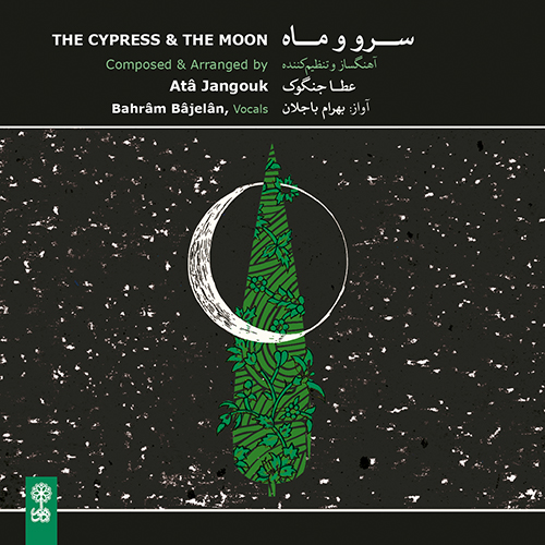 The Cypress and The Moon