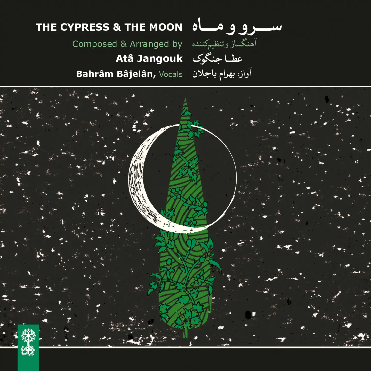 The Cypress and The Moon